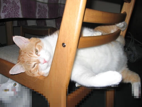 开云体育平台APP-冰雪挪威的炽热一击，萨卡加时绝杀铸就北欧新王