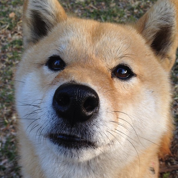 唯一性存档2018年3月10日,詹姆斯的三重奏,奇才稳如磐石的魔术破解法